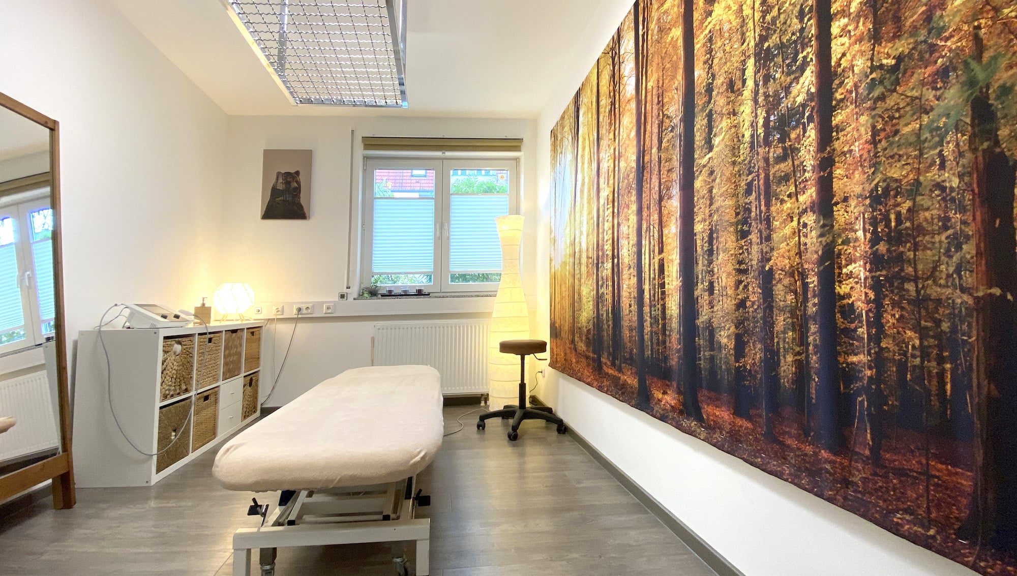 Behandlungsraum 2 mit Schlingtisch in Physiotherapiepraxis Großer-Bähr in Dresden
